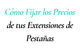 Cuánto Cobrar por Extensiones - Guía de Precios 2026